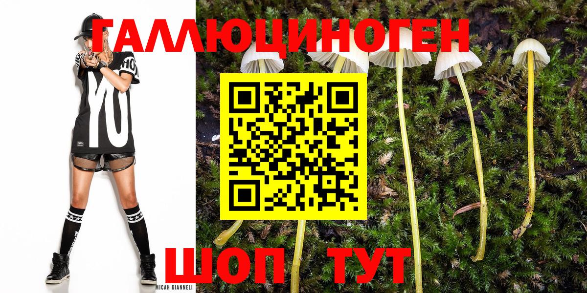 Галлюциногенные грибы ЛСД  Вход с VPN  как найти наркотики  Вологда 